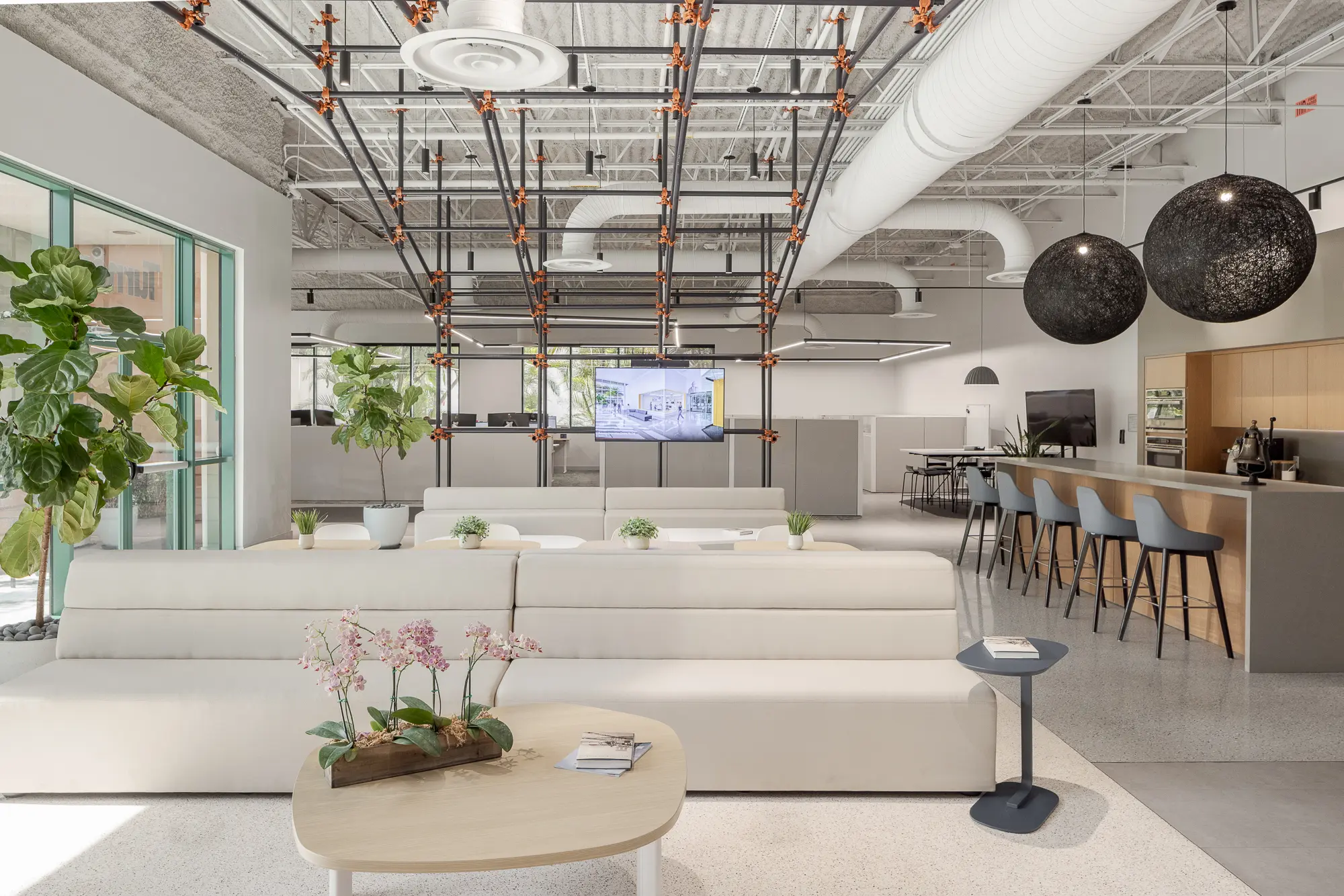 Sustainable Office Design on a Budget: 7 High-Impact Decisions